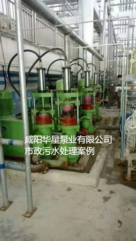 污水處理廠使用YBH200咸陽(yáng)柱塞泵現(xiàn)場(chǎng)